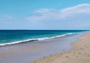 Ballyhealy Beach